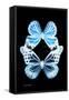 Miss Butterfly Duo Genuswing II - X-Ray Black Edition-Philippe Hugonnard-Framed Stretched Canvas