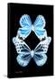 Miss Butterfly Duo Genuswing II - X-Ray Black Edition-Philippe Hugonnard-Framed Stretched Canvas