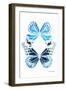 Miss Butterfly Duo Genuswing II - X-Ray White Edition-Philippe Hugonnard-Framed Photographic Print