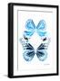 Miss Butterfly Duo Genuswing II - X-Ray White Edition-Philippe Hugonnard-Framed Photographic Print