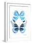 Miss Butterfly Duo Genuswing II - X-Ray White Edition-Philippe Hugonnard-Framed Photographic Print