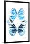 Miss Butterfly Duo Genuswing II - X-Ray White Edition-Philippe Hugonnard-Framed Photographic Print