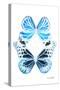 Miss Butterfly Duo Genuswing II - X-Ray White Edition-Philippe Hugonnard-Stretched Canvas