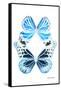 Miss Butterfly Duo Genuswing II - X-Ray White Edition-Philippe Hugonnard-Framed Stretched Canvas