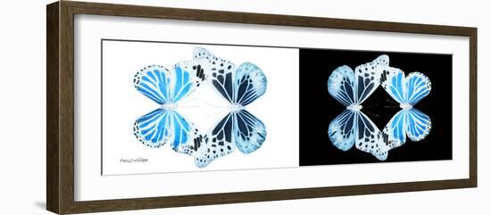 Miss Butterfly Duo Genuswing Pan - X-Ray B&W Edition-Philippe Hugonnard-Framed Photographic Print