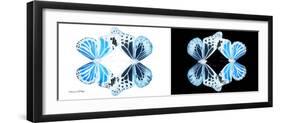 Miss Butterfly Duo Genuswing Pan - X-Ray B&W Edition-Philippe Hugonnard-Framed Photographic Print