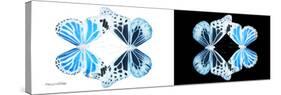 Miss Butterfly Duo Genuswing Pan - X-Ray B&W Edition-Philippe Hugonnard-Stretched Canvas