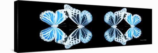 Miss Butterfly Duo Genuswing Pan - X-Ray Black Edition II-Philippe Hugonnard-Stretched Canvas