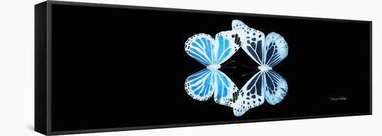 Miss Butterfly Duo Genuswing Pan - X-Ray Black Edition-Philippe Hugonnard-Framed Stretched Canvas