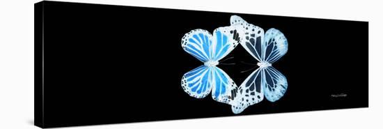 Miss Butterfly Duo Genuswing Pan - X-Ray Black Edition-Philippe Hugonnard-Stretched Canvas