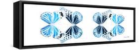 Miss Butterfly Duo Genuswing Pan - X-Ray White Edition II-Philippe Hugonnard-Framed Stretched Canvas