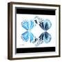 Miss Butterfly Duo Genuswing Sq - X-Ray B&W Edition-Philippe Hugonnard-Framed Photographic Print