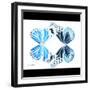 Miss Butterfly Duo Genuswing Sq - X-Ray B&W Edition-Philippe Hugonnard-Framed Photographic Print