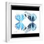 Miss Butterfly Duo Genuswing Sq - X-Ray B&W Edition-Philippe Hugonnard-Framed Photographic Print