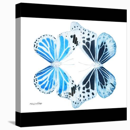 Miss Butterfly Duo Genuswing Sq - X-Ray B&W Edition-Philippe Hugonnard-Stretched Canvas