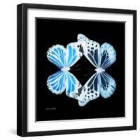 Miss Butterfly Duo Genuswing Sq - X-Ray Black Edition-Philippe Hugonnard-Framed Photographic Print
