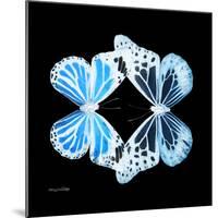 Miss Butterfly Duo Genuswing Sq - X-Ray Black Edition-Philippe Hugonnard-Mounted Photographic Print