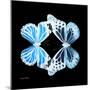 Miss Butterfly Duo Genuswing Sq - X-Ray Black Edition-Philippe Hugonnard-Mounted Photographic Print