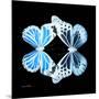 Miss Butterfly Duo Genuswing Sq - X-Ray Black Edition-Philippe Hugonnard-Mounted Photographic Print