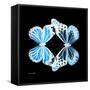 Miss Butterfly Duo Genuswing Sq - X-Ray Black Edition-Philippe Hugonnard-Framed Stretched Canvas