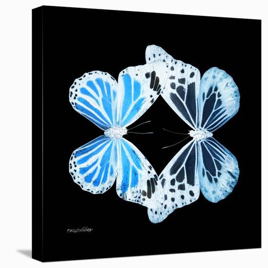 Miss Butterfly Duo Genuswing Sq - X-Ray Black Edition-Philippe Hugonnard-Stretched Canvas