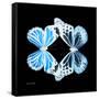 Miss Butterfly Duo Genuswing Sq - X-Ray Black Edition-Philippe Hugonnard-Framed Stretched Canvas