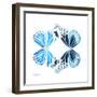 Miss Butterfly Duo Genuswing Sq - X-Ray White Edition-Philippe Hugonnard-Framed Photographic Print