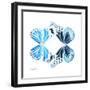 Miss Butterfly Duo Genuswing Sq - X-Ray White Edition-Philippe Hugonnard-Framed Photographic Print