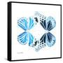 Miss Butterfly Duo Genuswing Sq - X-Ray White Edition-Philippe Hugonnard-Framed Stretched Canvas