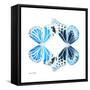 Miss Butterfly Duo Genuswing Sq - X-Ray White Edition-Philippe Hugonnard-Framed Stretched Canvas