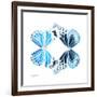 Miss Butterfly Duo Genuswing Sq - X-Ray White Edition-Philippe Hugonnard-Framed Photographic Print