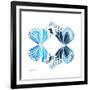 Miss Butterfly Duo Genuswing Sq - X-Ray White Edition-Philippe Hugonnard-Framed Photographic Print