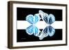 Miss Butterfly Duo Genuswing - X-Ray B&W Edition II-Philippe Hugonnard-Framed Photographic Print