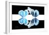 Miss Butterfly Duo Genuswing - X-Ray B&W Edition II-Philippe Hugonnard-Framed Photographic Print