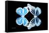 Miss Butterfly Duo Genuswing - X-Ray Black Edition-Philippe Hugonnard-Framed Stretched Canvas