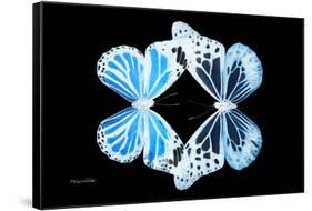 Miss Butterfly Duo Genuswing - X-Ray Black Edition-Philippe Hugonnard-Framed Stretched Canvas