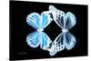 Miss Butterfly Duo Genuswing - X-Ray Black Edition-Philippe Hugonnard-Stretched Canvas