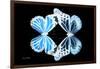 Miss Butterfly Duo Genuswing - X-Ray Black Edition-Philippe Hugonnard-Framed Photographic Print