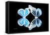 Miss Butterfly Duo Genuswing - X-Ray Black Edition-Philippe Hugonnard-Framed Stretched Canvas