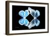 Miss Butterfly Duo Genuswing - X-Ray Black Edition-Philippe Hugonnard-Framed Photographic Print