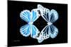 Miss Butterfly Duo Genuswing - X-Ray Black Edition-Philippe Hugonnard-Mounted Photographic Print