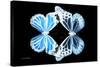 Miss Butterfly Duo Genuswing - X-Ray Black Edition-Philippe Hugonnard-Stretched Canvas
