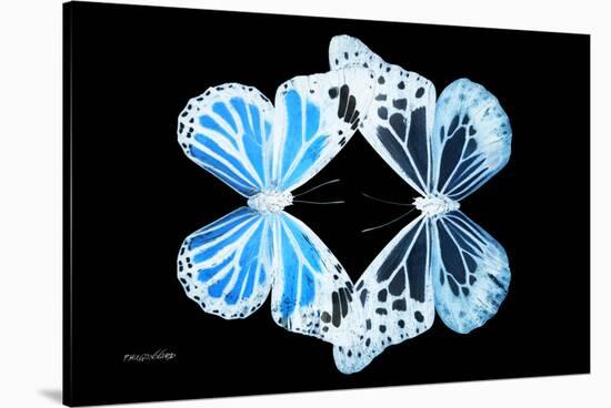 Miss Butterfly Duo Genuswing - X-Ray Black Edition-Philippe Hugonnard-Stretched Canvas
