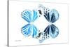 Miss Butterfly Duo Genuswing - X-Ray White Edition-Philippe Hugonnard-Stretched Canvas