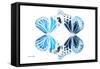 Miss Butterfly Duo Genuswing - X-Ray White Edition-Philippe Hugonnard-Framed Stretched Canvas