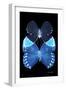 Miss Butterfly Duo Heboformo II - X-Ray Black Edition-Philippe Hugonnard-Framed Photographic Print
