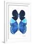 Miss Butterfly Duo Heboformo II - X-Ray White Edition-Philippe Hugonnard-Framed Photographic Print