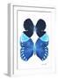 Miss Butterfly Duo Heboformo II - X-Ray White Edition-Philippe Hugonnard-Framed Photographic Print