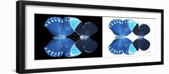 Miss Butterfly Duo Heboformo Pan - X-Ray B&W Edition-Philippe Hugonnard-Framed Photographic Print