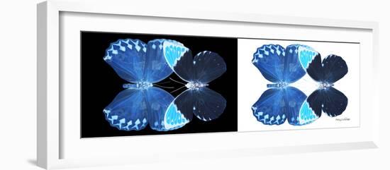 Miss Butterfly Duo Heboformo Pan - X-Ray B&W Edition-Philippe Hugonnard-Framed Photographic Print